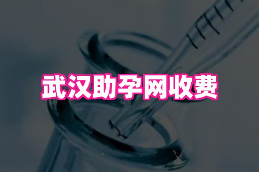 821孕网 3